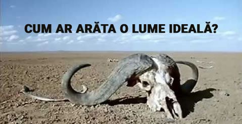 cum ar arata o lume ideala_compressed