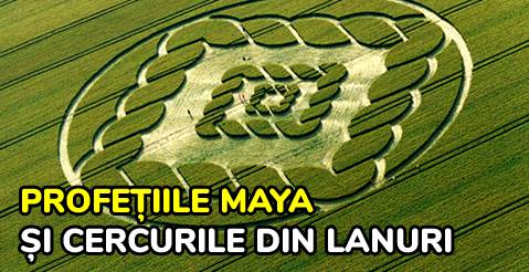 profetiile maya si cercurile din lanuri featured_compressed